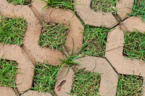 Brick floors with grass background Stock Photos