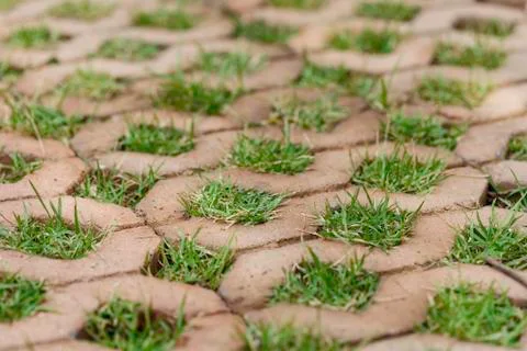 Brick floors with grass background Stock Photos