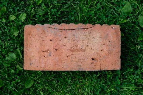 The brick lies on the grass. Stock Photos