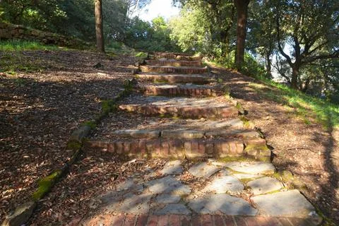 Brick old steps on path up hill amongst trees. Ancient park. Traditional Stock Photos
