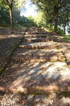 Brick old steps on path up hill amongst trees. Ancient building. Traditional Stock Photos