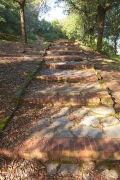 Brick old steps on path up hill amongst trees. Ancient park. Traditional Stock Photos