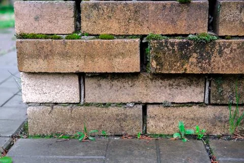 Brick overgrown with moss. Stock Photos