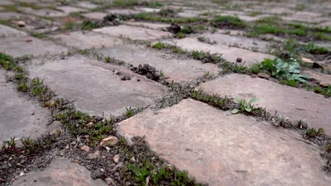 Brick path in the grass Stock Footage 154428102