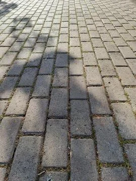 Brick path shaded by trees Stock Photos