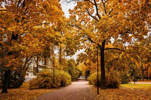 Brick path through a beautiful autumn park with colorful trees and fallen l.. Stock Photos