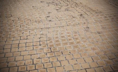 Brick pavement Stock Photos