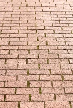 Brick Paver Pattern 스톡 사진