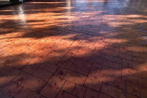 Brick paving blocks and diagonal shadows create a quiet courtyard walkway w.. 库存照片