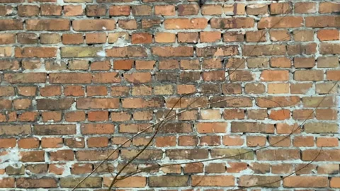 Brick red wall and snow slow down, beautiful winter weather, super slow motion Stock Footage 124738197
