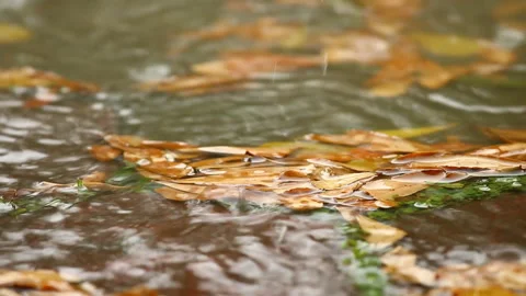 Brick road background with rain dropping  , Chiangmai Thailand   库存影片 136153027