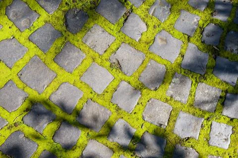 Brick road with moss Stock Photos