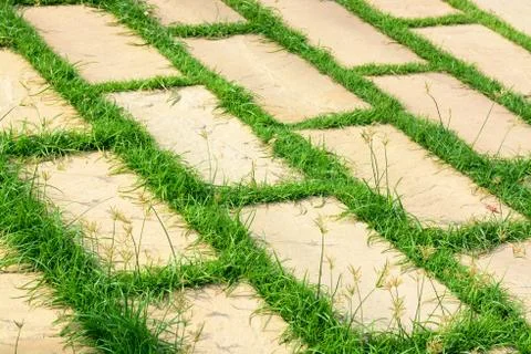 Brick rock on grass pavement path Foto stock