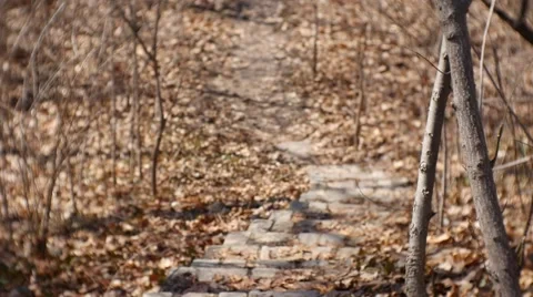 Brick Stairway in Nature (Going Down) Stock Footage 49035971