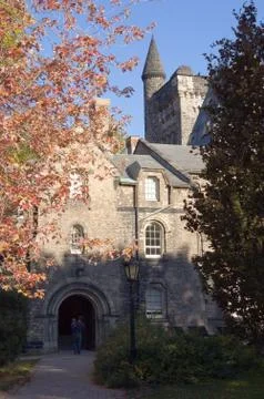 Brick stone Stock Photos