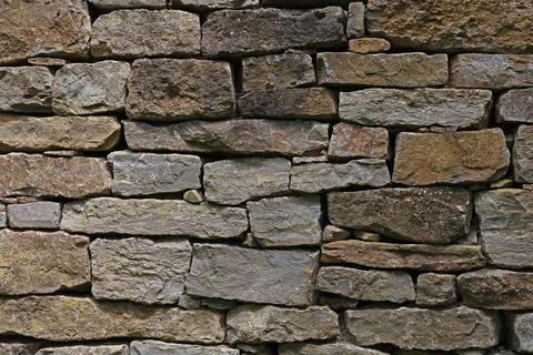 Brick stone wall with grasses Foto stock