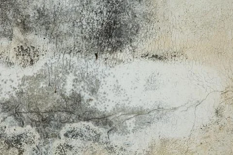 Brick texturd Stock Photos