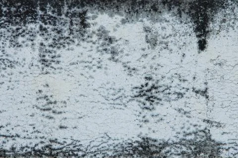 Brick texture Stock Photos