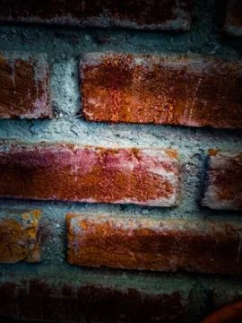 Brick texture 写真素材