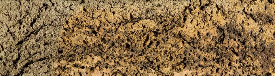 Brick texture. simple backgrounds for your design Stock Illustration