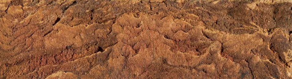 Brick texture. simple backgrounds for your design Stock Illustration