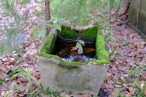 Brick trough Stock-Fotos