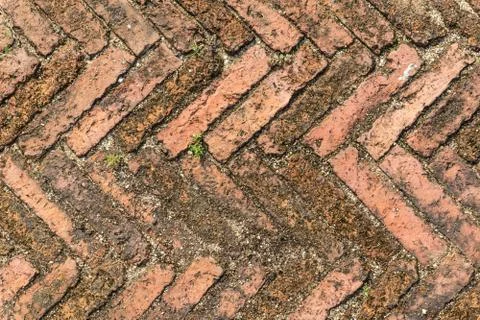 Brick walkway Stock Photos
