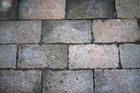The brick walkway Stock Photos