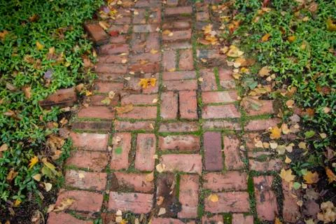Brick walkway Stock Photos