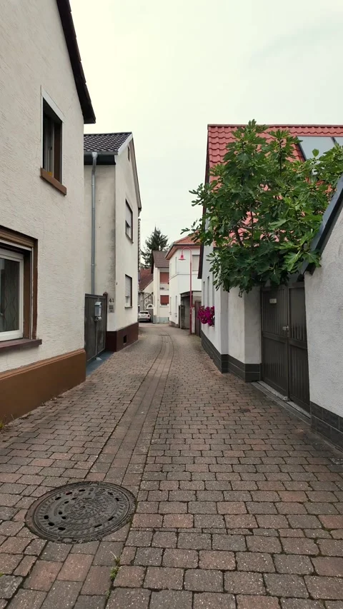 A brick walkway with a tree in the middle Stock Footage 287844599