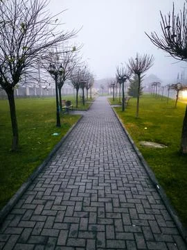 A brick walkway with trees lining the sides. Stock Photos