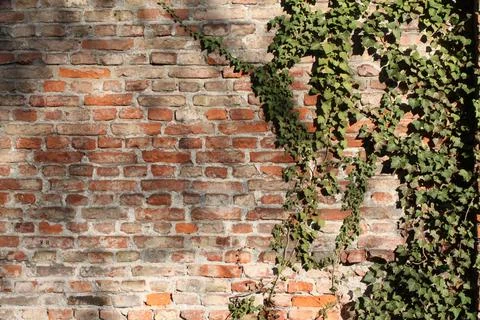 Brick-wall-58056 Stock Photos