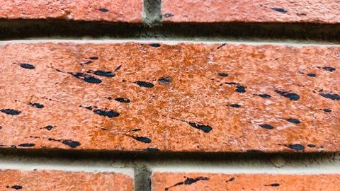 Brick  wall abstract isolated texture background partn and texture concept 스톡 사진