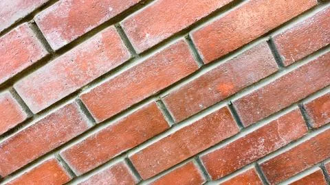 Brick  wall abstract isolated texture background partn and texture concept Stock Photos