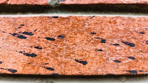 Brick  wall abstract isolated texture background partn and texture concept Stock Photos