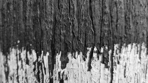 Brick  wall abstract  texture background partn and texture  with crack design Stock Photos