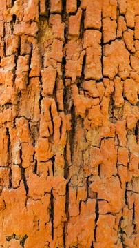 Brick  wall abstract  texture background partn and texture  with crack design Stock Photos