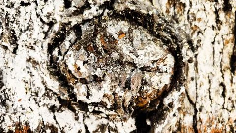 Brick  wall abstract  texture background partn and texture  with crack design Foto stock