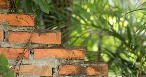 Brick wall against nature, construction site background Stock Footage 118247650