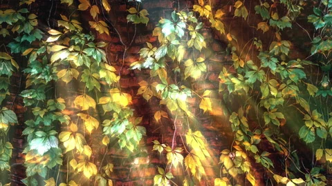 Brick wall and ivy reflecting on moving water through light rays Stock Footage 235486987