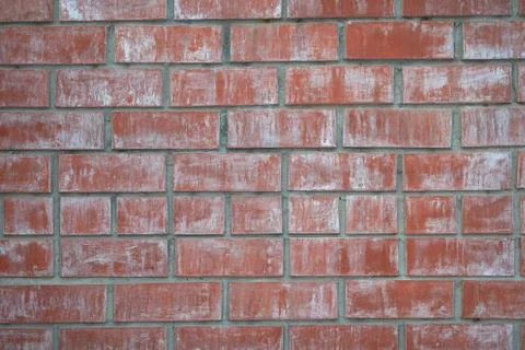 Brick wall with the appeared salt Stock Photos