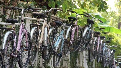 Brick wall with an array of colorful bicycles hung up against it, near a lush tr Foto stock