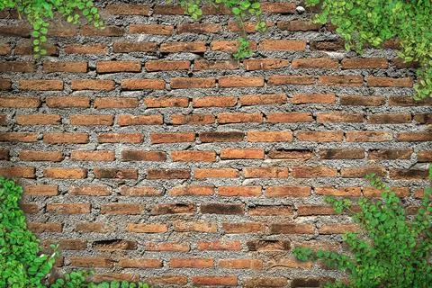 Brick wall backdrop for background Stock Photos