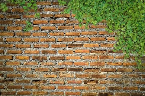 Brick wall backdrop for background Stock Photos