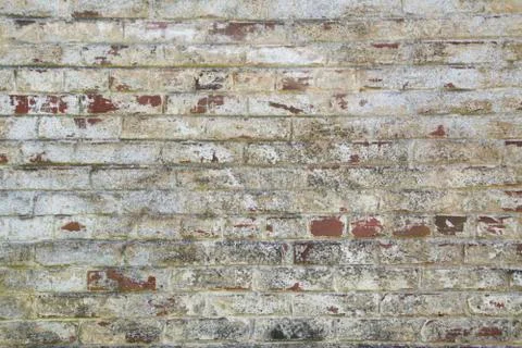 Brick wall background and texture Foto stock