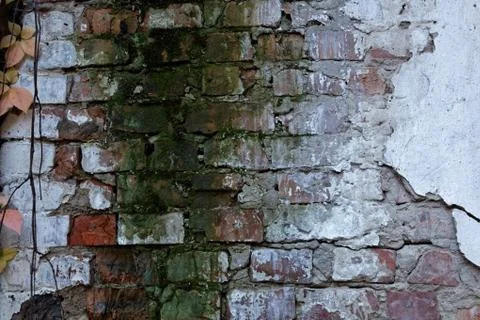 Brick wall background pattern with old white paint texture Stock Photos