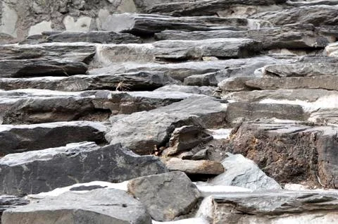 Brick wall background Stock Photos