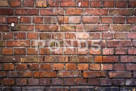 Brick Wall Background. Stock Photos