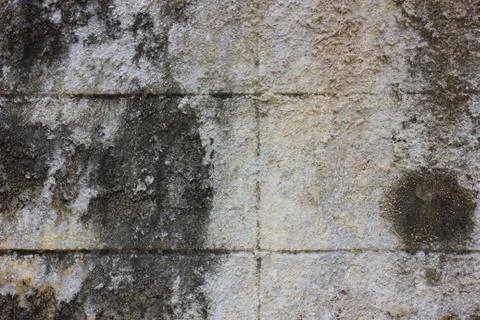 Brick wall background Stock Photos