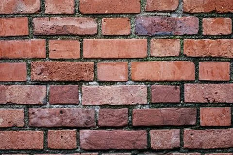 Brick wall as background Stock Photos